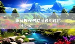陈晓现在对赵丽颖的评价