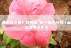 百度快照推广找哪家_第一优先安排+高质量快速优化