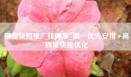 百度快照推广找哪家_第一优先安排+高质量快速优化