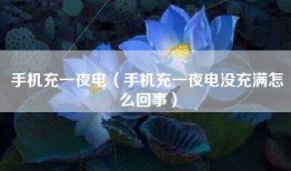 手机充一夜电（手机充一夜电没充满怎么回事）