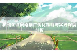 杭州企业网络推广优化策略与实践深度剖析