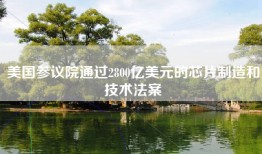 美国参议院通过2800亿美元的芯片制造和技术法案
