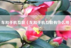 车和手机互联（车和手机互联有什么用）