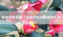 车和手机互联（车和手机互联有什么用）
