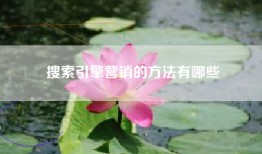 搜索引擎营销的方法有哪些