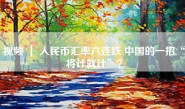 视频 ｜ 人民币汇率六连跌 中国的一招“将计就计”？
