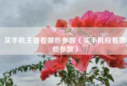 买手机主要看哪些参数（买手机应看哪些参数）