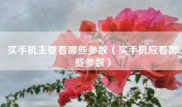 买手机主要看哪些参数（买手机应看哪些参数）