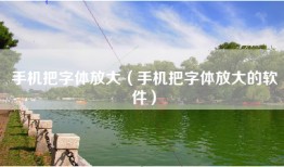 手机把字体放大（手机把字体放大的软件）