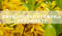苹果手机pdf文件怎么打开（苹果手机pdf文件怎么打开不了）