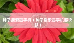 种子搜索器手机（种子搜索器手机版攻略）