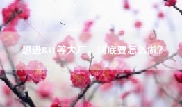 想进BAT等大厂，到底要怎么做？
