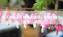 深入剖析 SEO 特殊关键词，市场行情与(黑帽seo)资讯