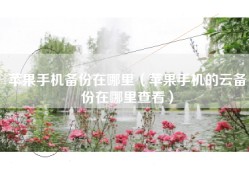 苹果手机备份在哪里（苹果手机的云备份在哪里查看）