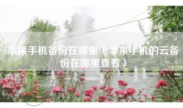 苹果手机备份在哪里（苹果手机的云备份在哪里查看）