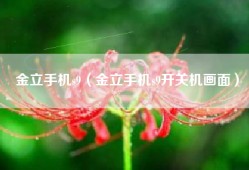 金立手机s9（金立手机s9开关机画面）
