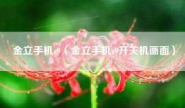 金立手机s9（金立手机s9开关机画面）