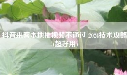 抖音来客本地推视频不通过 2024技术攻略!(超好用)