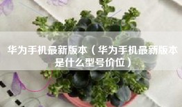 华为手机最新版本（华为手机最新版本是什么型号价位）