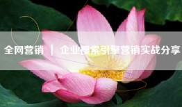 全网营销 ｜ 企业搜索引擎营销实战分享