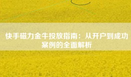 快手磁力金牛投放指南：从开户到成功案例的全面解析