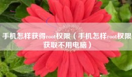 手机怎样获得root权限（手机怎样root权限获取不用电脑）