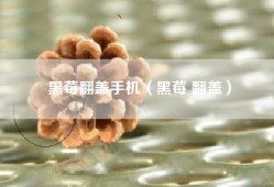黑莓翻盖手机（黑莓 翻盖）