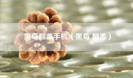 黑莓翻盖手机（黑莓 翻盖）