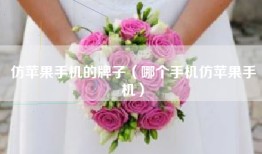 仿苹果手机的牌子（哪个手机仿苹果手机）