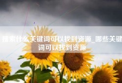 搜索什么关键词可以找到资源_哪些关键词可以找到资源