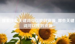 搜索什么关键词可以找到资源_哪些关键词可以找到资源