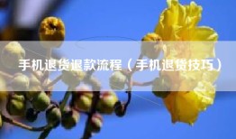 手机退货退款流程（手机退货技巧）