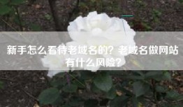 新手怎么看待老域名的？老域名做网站有什么风险？
