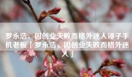 罗永浩，因创业失败而格外迷人锤子手机老板「罗永浩，因创业失败而格外迷人」