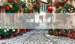 22k是什么意思