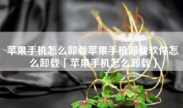 苹果手机怎么卸载苹果手机卸载软件怎么卸载「苹果手机怎么卸载」