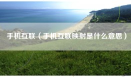 手机互联（手机互联映射是什么意思）