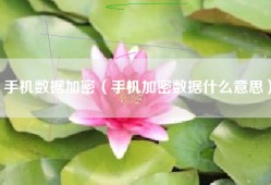 手机数据加密（手机加密数据什么意思）