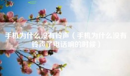 手机为什么没有铃声（手机为什么没有铃声了电话响的时候）