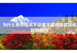 为什么有些站点不设置关键词排名却很好的原因