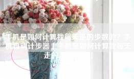手机是如何计算我每天走的步数的？手机自动计步器「手机是如何计算我每天走的步数的？」