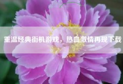 重温经典街机游戏，热血激情再现下载