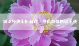 重温经典街机游戏，热血激情再现下载