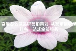 百度怎么做品牌营销策划_从发布到收录排名一站式全部服务