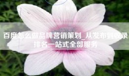 百度怎么做品牌营销策划_从发布到收录排名一站式全部服务