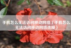 手机怎么无法访问移动网络（手机怎么无法访问移动网络连接）