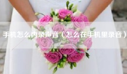 手机怎么内录声音（怎么在手机里录音）