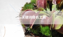 seo关键词排名工具