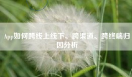App如何跨线上线下、跨渠道、跨终端归因分析