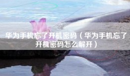华为手机忘了开机密码（华为手机忘了开机密码怎么解开）